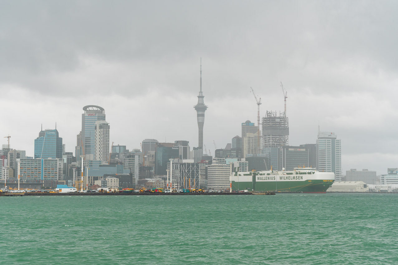 Auckland Skyline Nebel