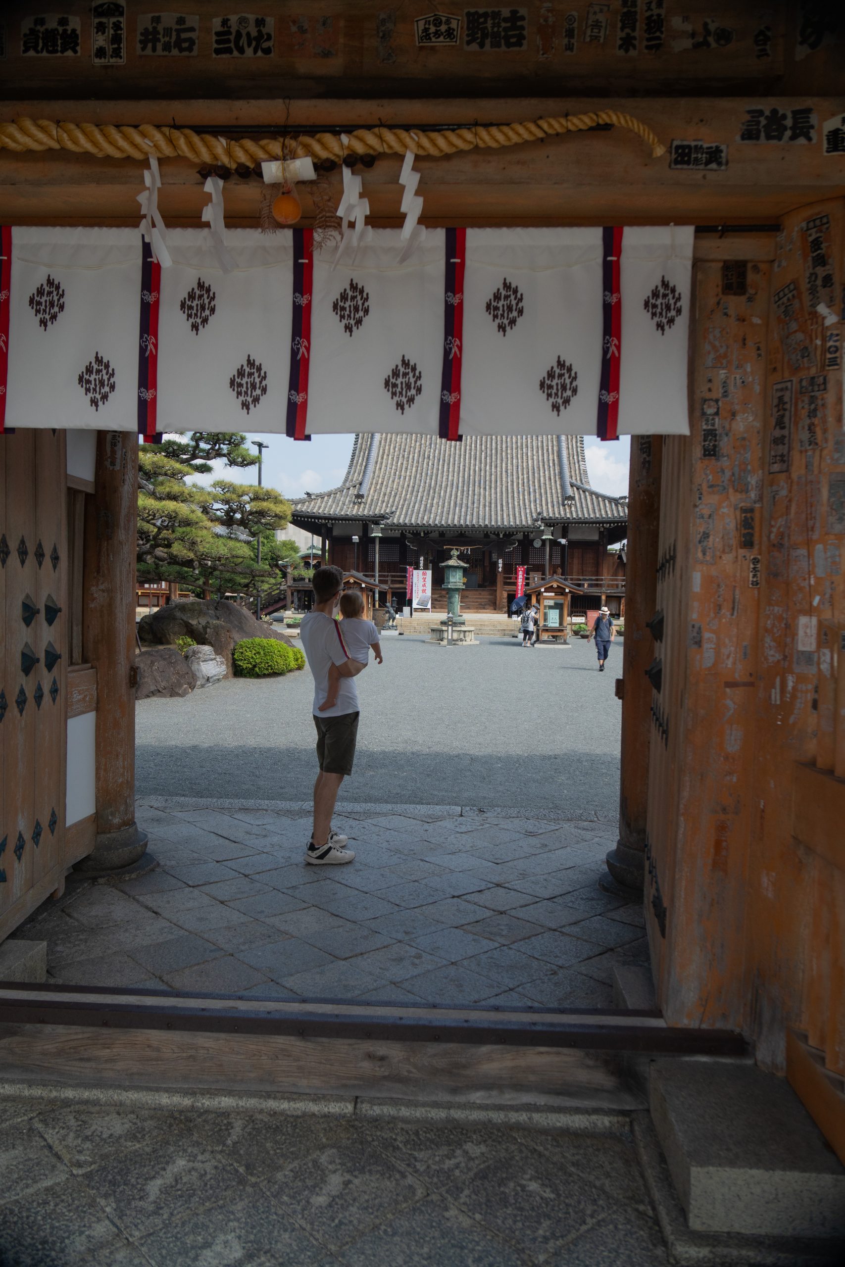 20240908_000057268_iOS