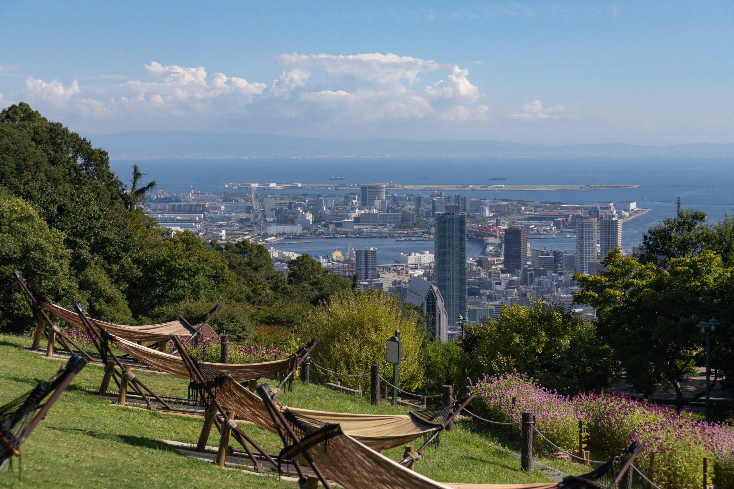 20240917_050328438_iOS