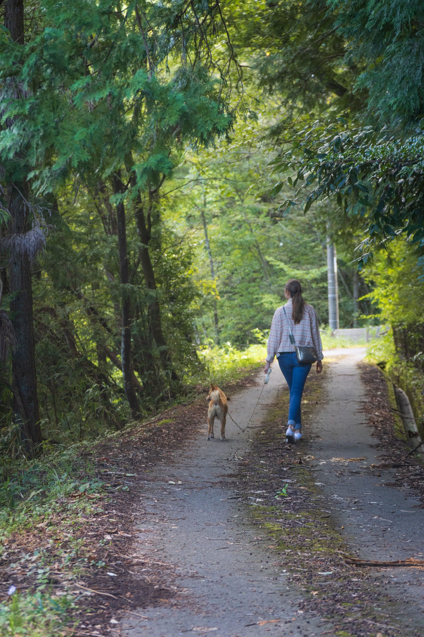 20240923_222036498_iOS