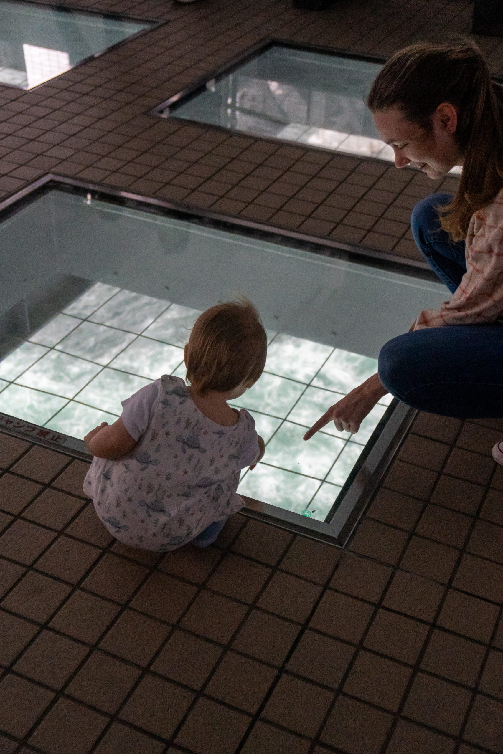 20241007_033047700_iOS