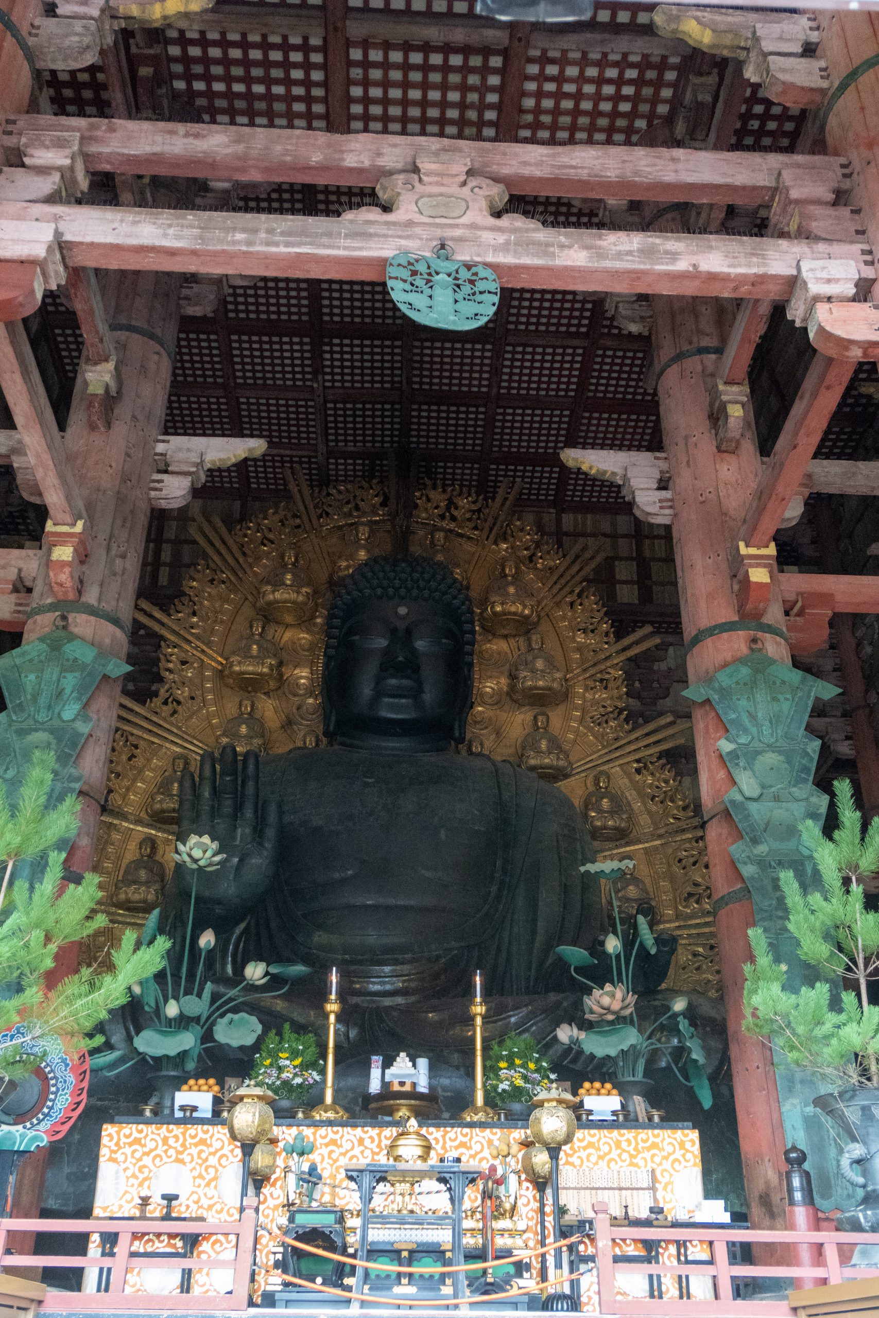 20241009_025551851_iOS