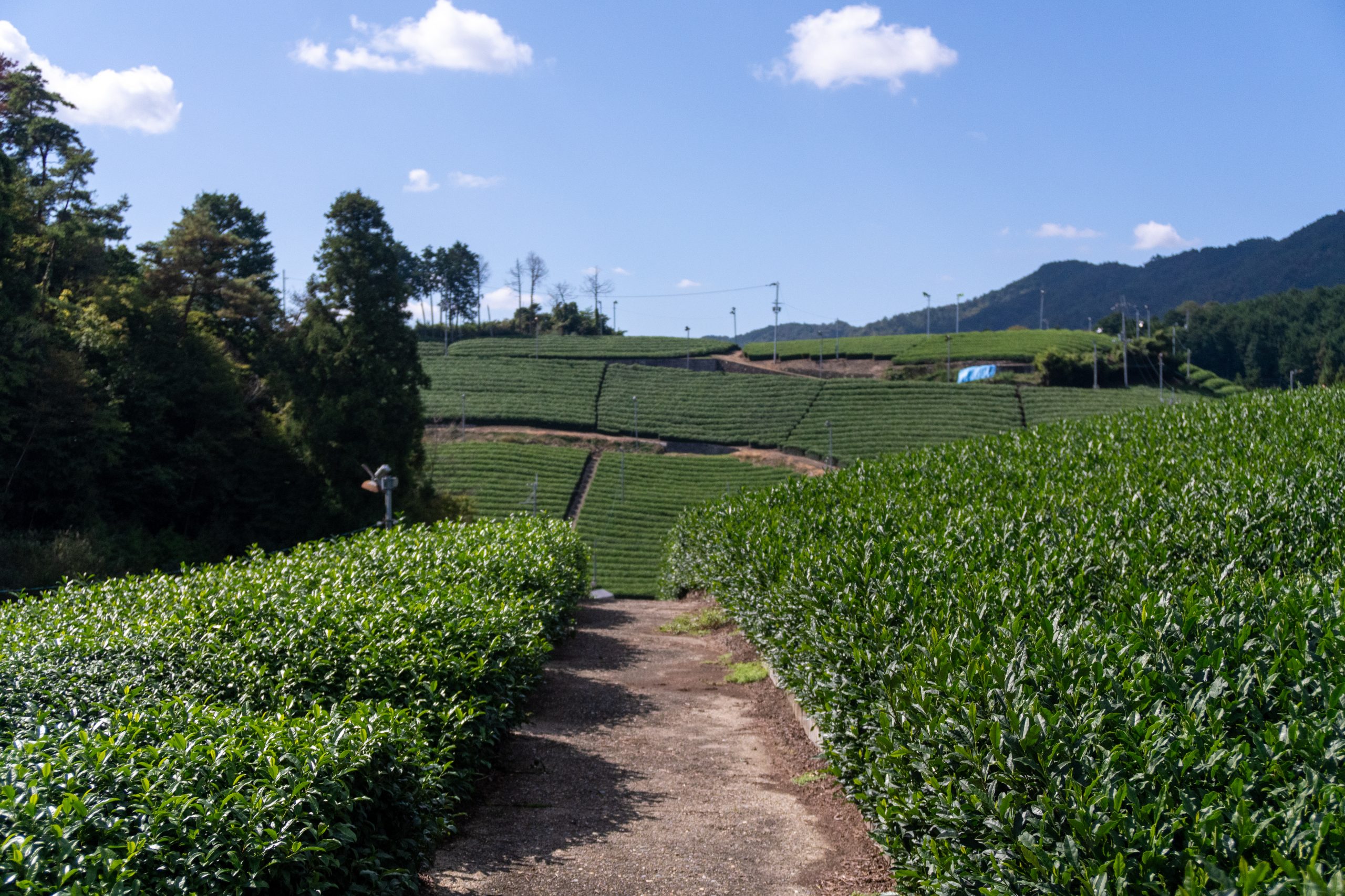 20241010_014328649_iOS