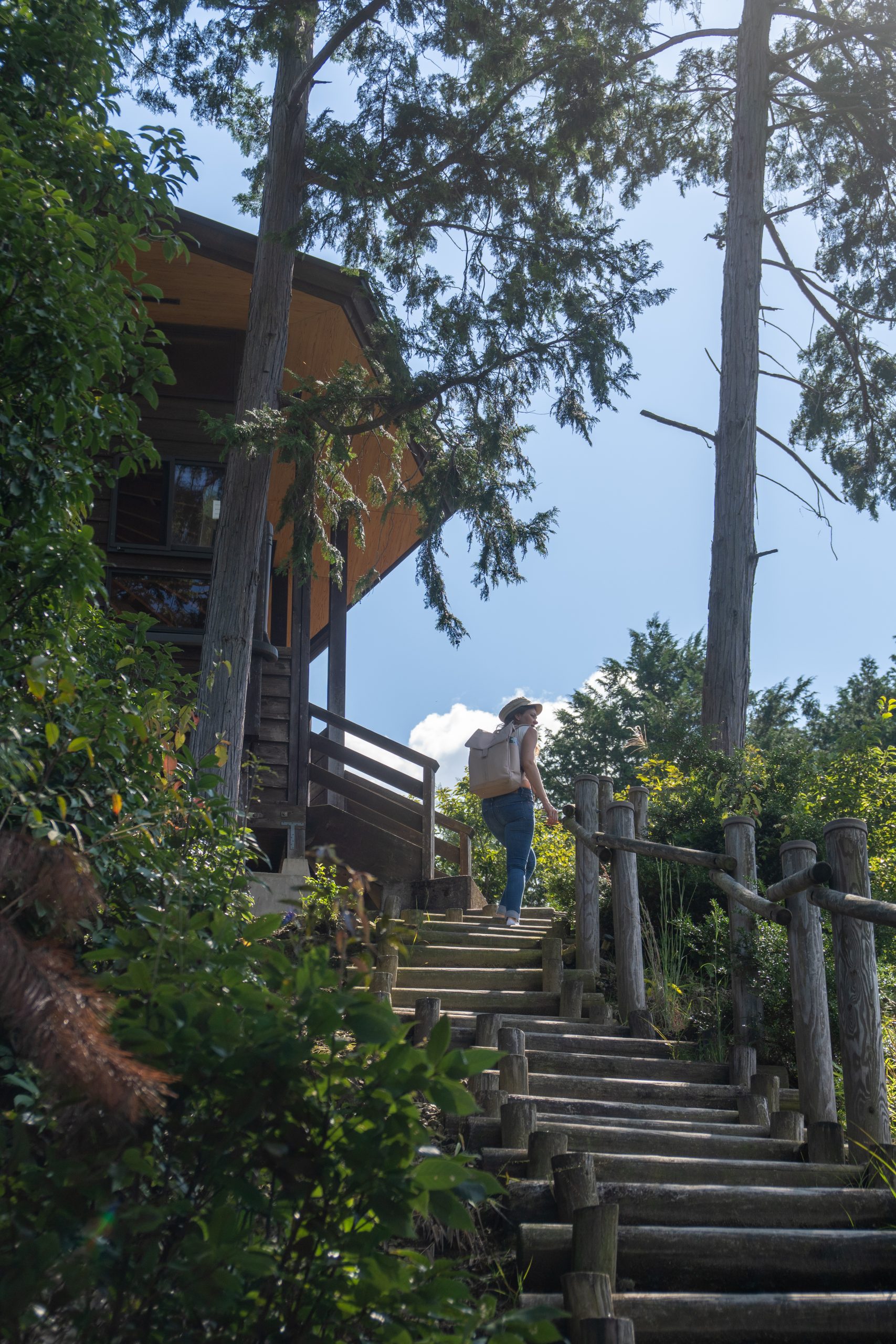 20241010_015747932_iOS