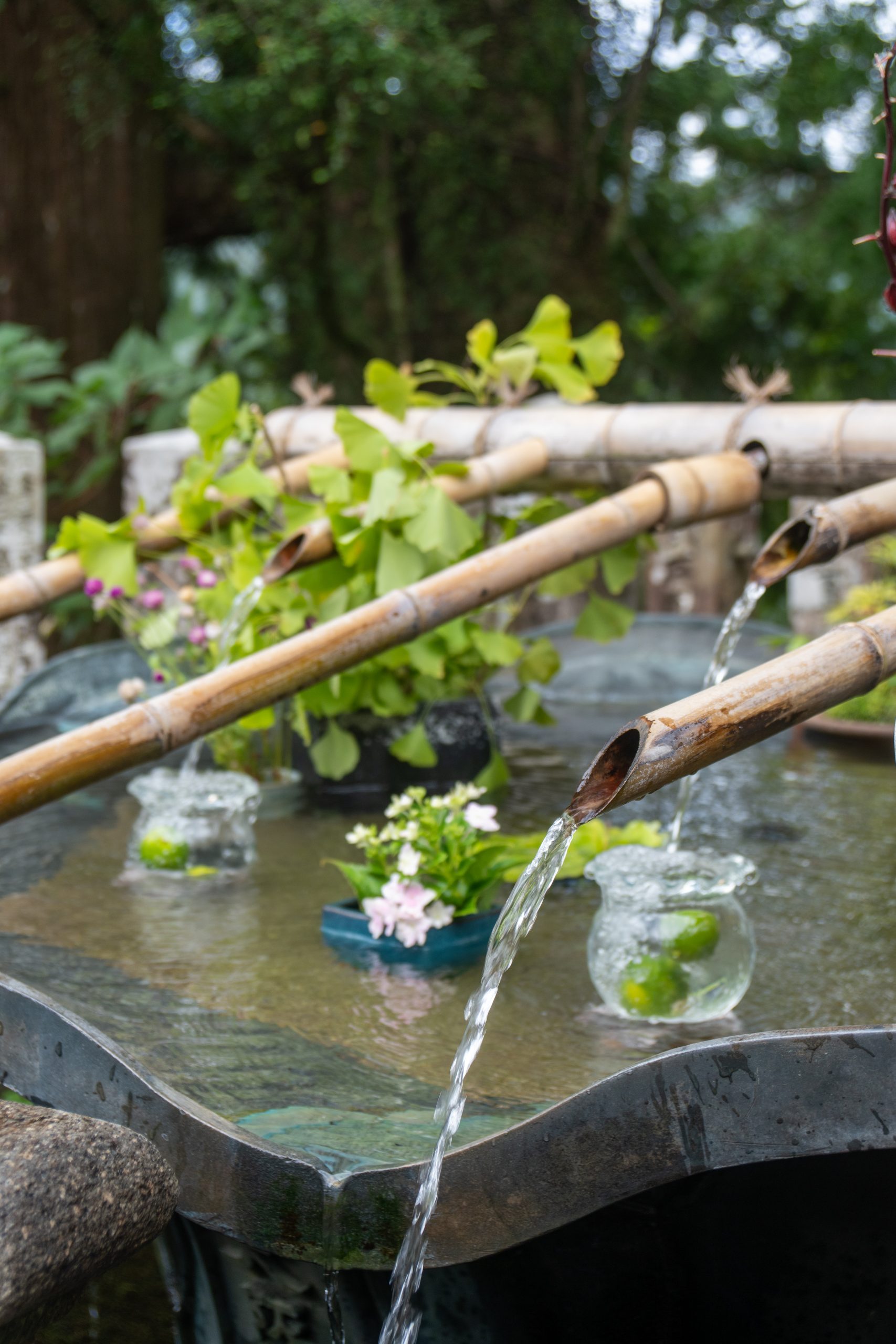 20241015_044142357_iOS