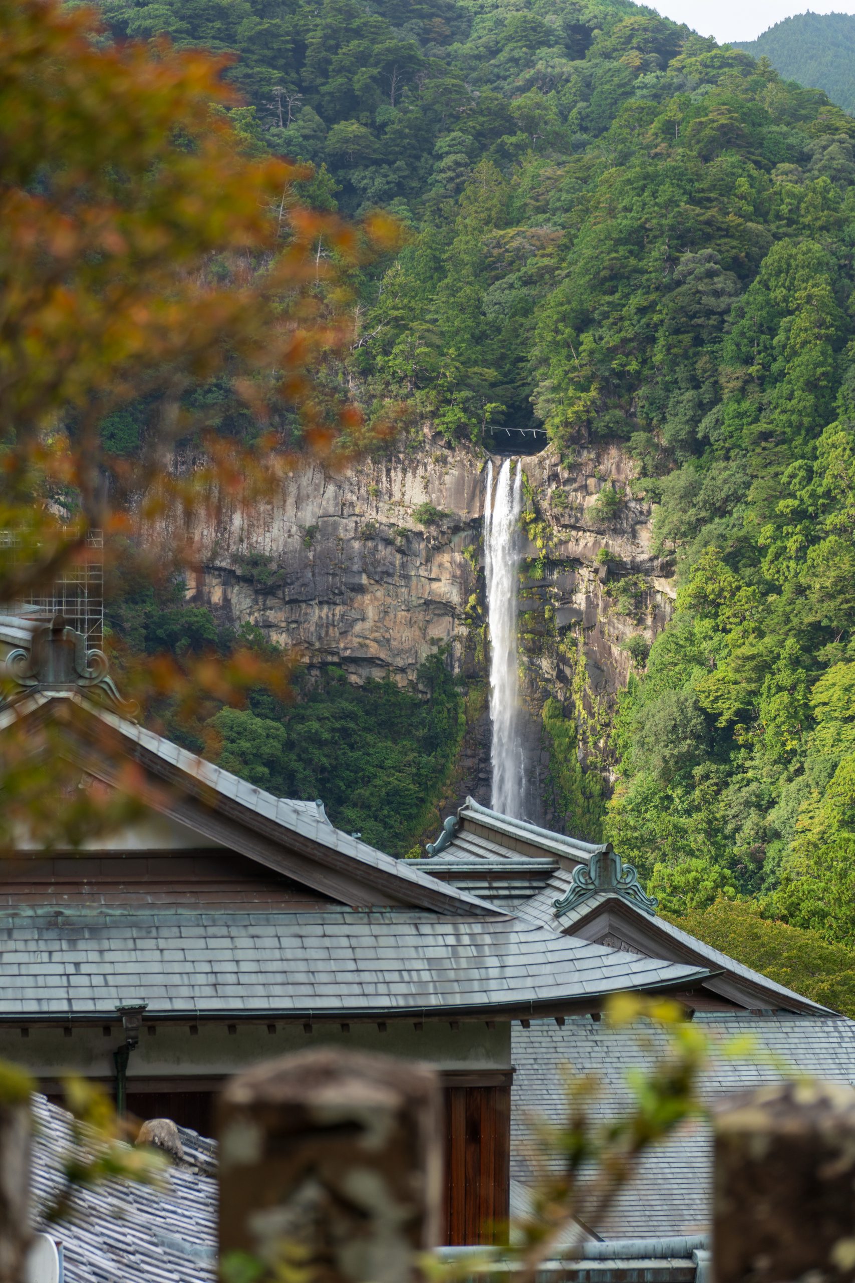 20241015_044849681_iOS