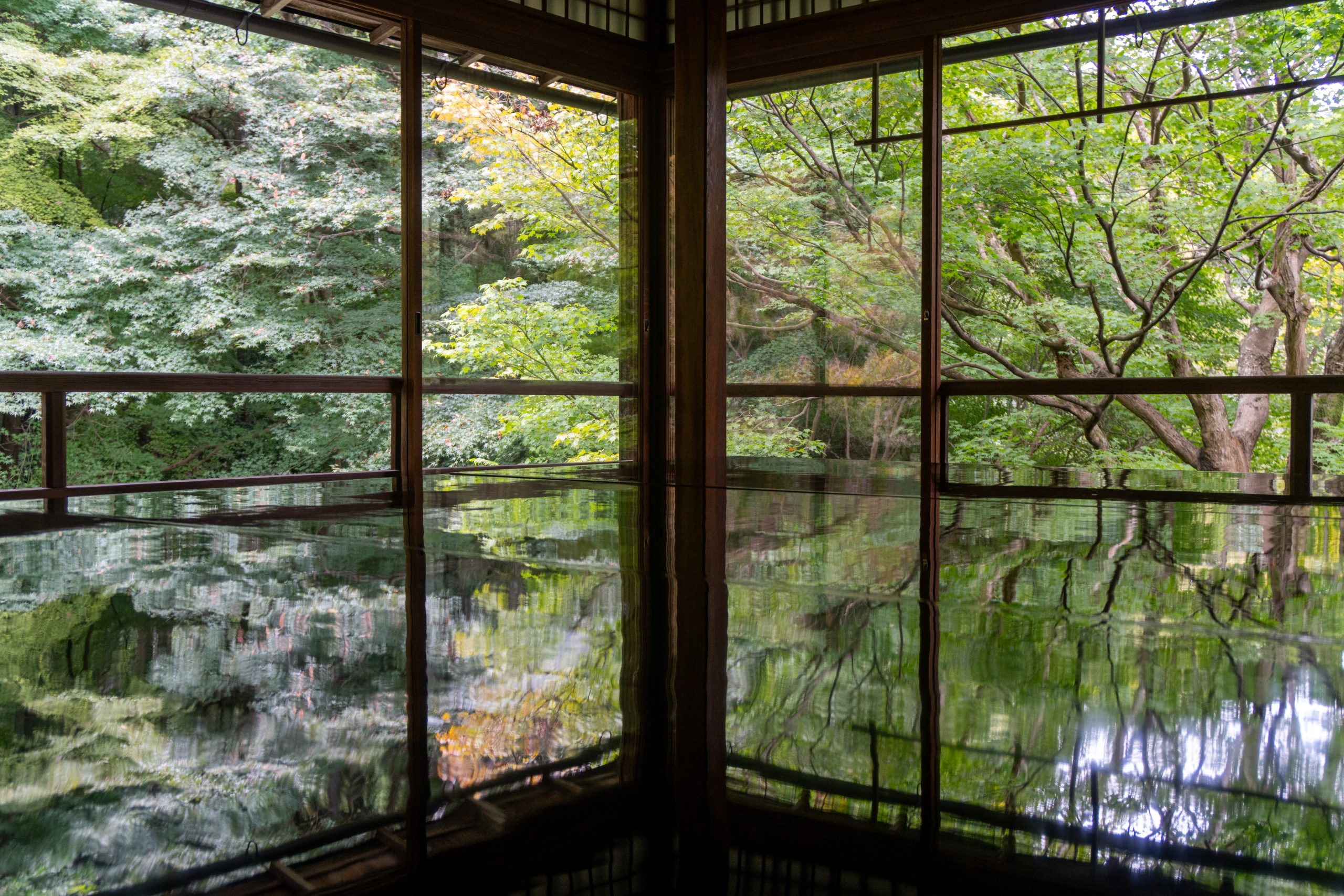 20241018_005947315_iOS