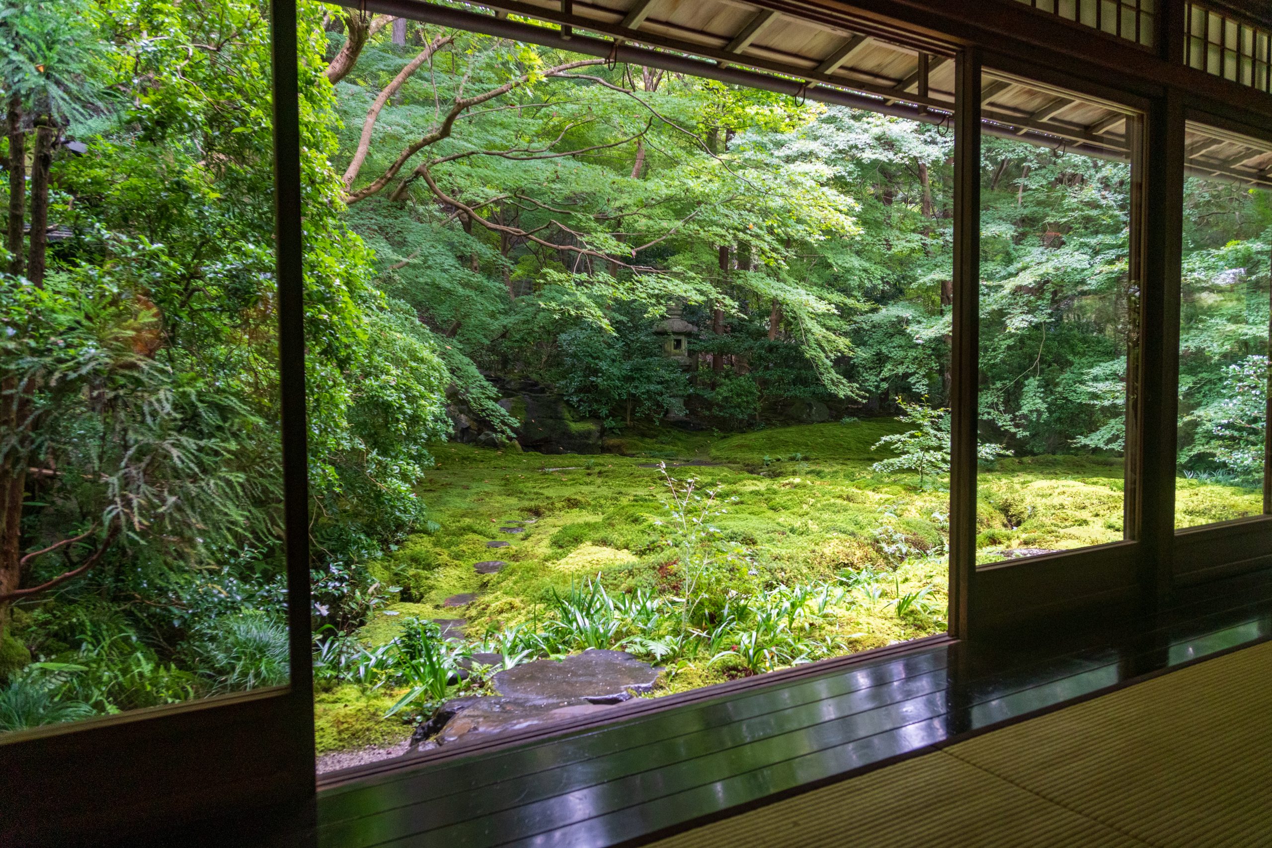 20241018_011231502_iOS