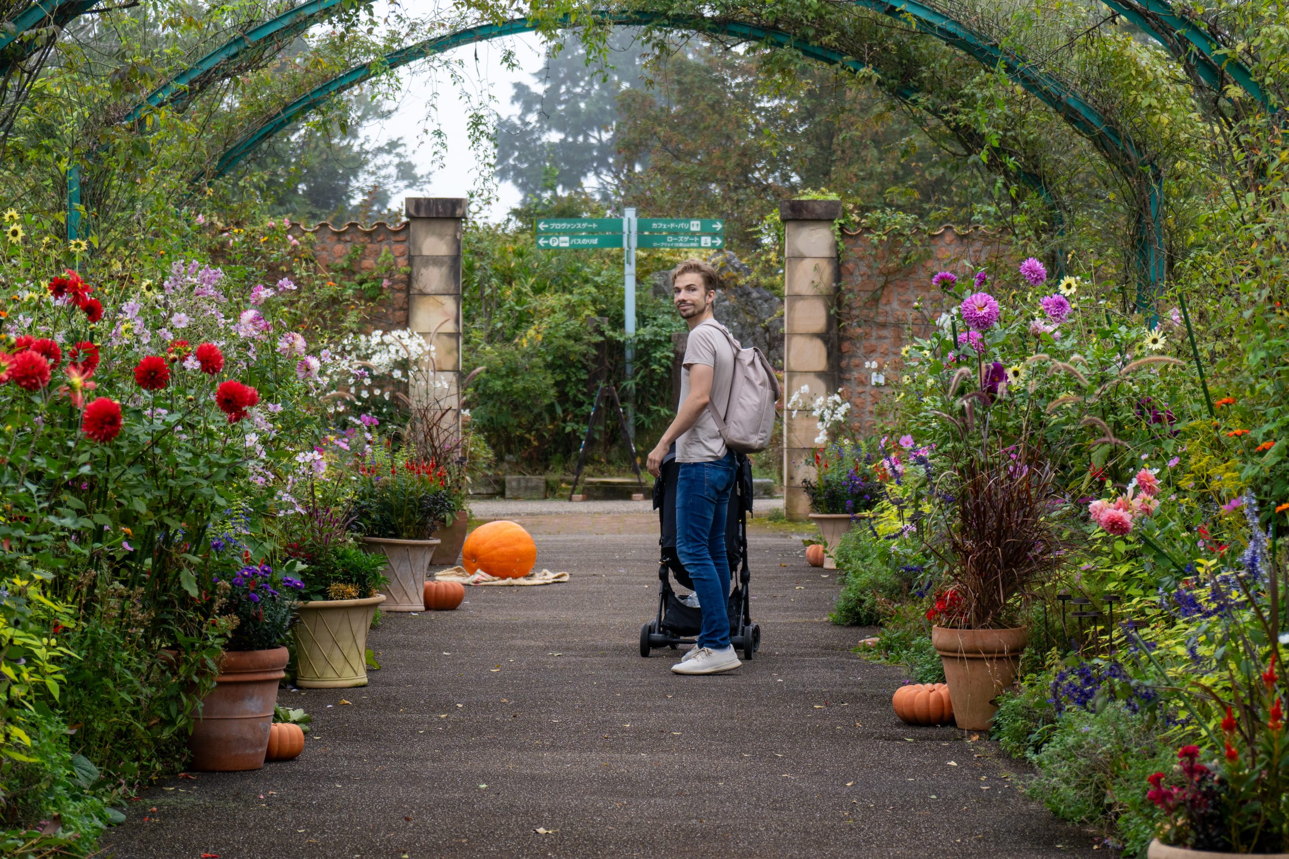 20241018_041329018_iOS